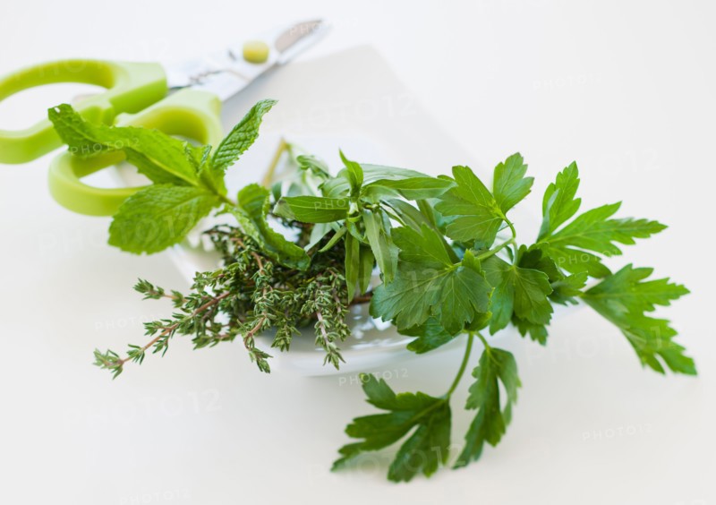 Fresh herbs on plate with scissors.