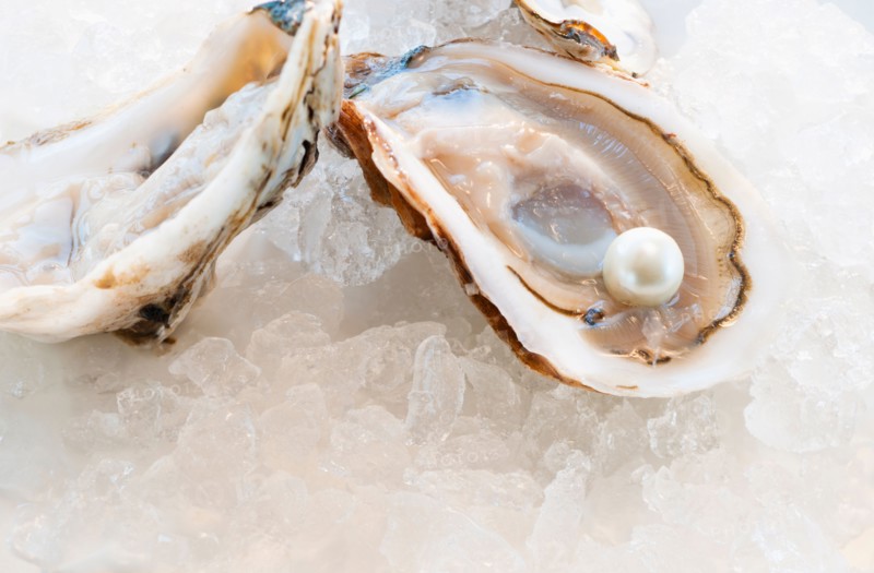 Studio shot of pearl in oyster.