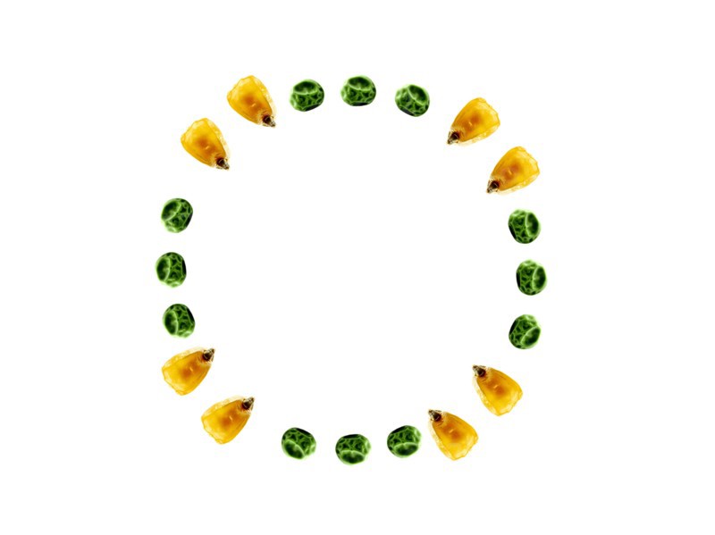 Studio shot of Yellow Corn Seeds and Pea Seeds on white background. Photo : David Arky