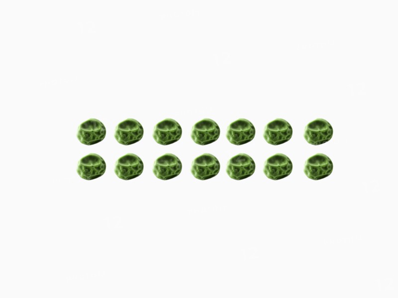 Studio shot of Pea Seeds on white background. Photo: David Arky