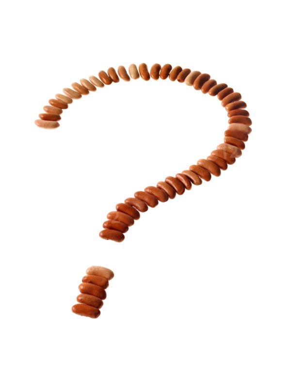 Studio shot of Bean Seeds making Question Mark on white background. Photo: David Arky