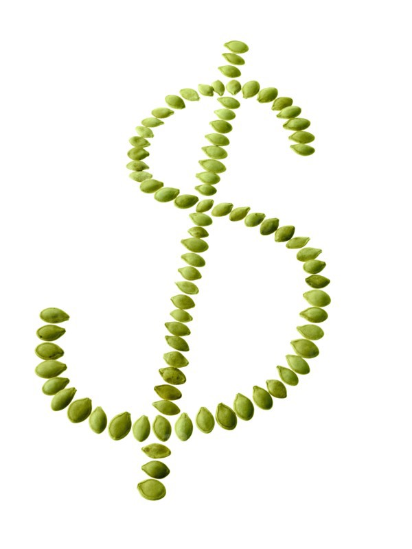 Studio shot of Bean Seeds making Dollar Sign on white background. Photo : David Arky