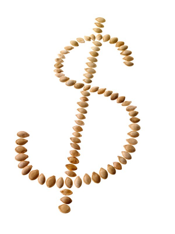 Studio shot of Dollar Sign making Bean Seeds on white background. Photo: David Arky