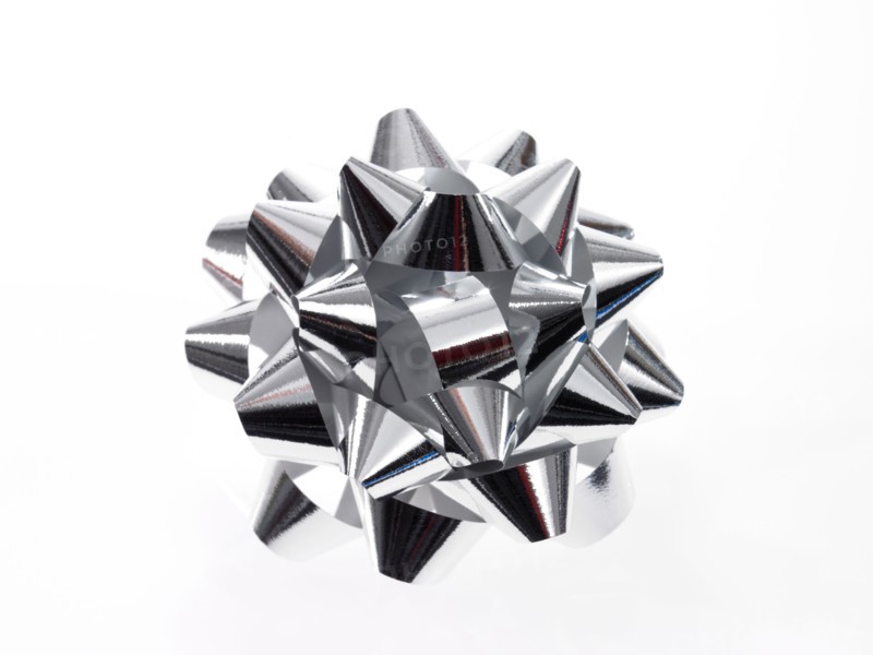 Studio shot of Silver Ribbon on white background. Photo: David Arky