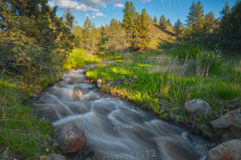 USA, Oregon, Kimberly, Scenic view of Rushing Creek. Photo : Gary J Weathers