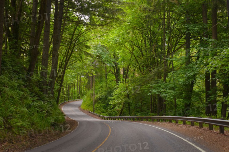 USA, Oregon, Yamhill County, Newberg, View of Wilsonville Highway. Photo: Gary J Weathers