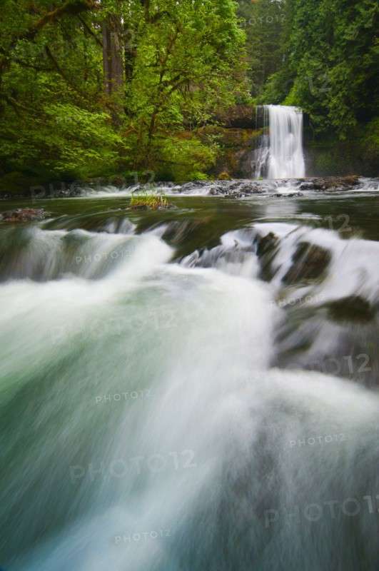 USA, Oregon, Silver Falls State Park, View of Upper North Falls. Photo : Gary J Weathers