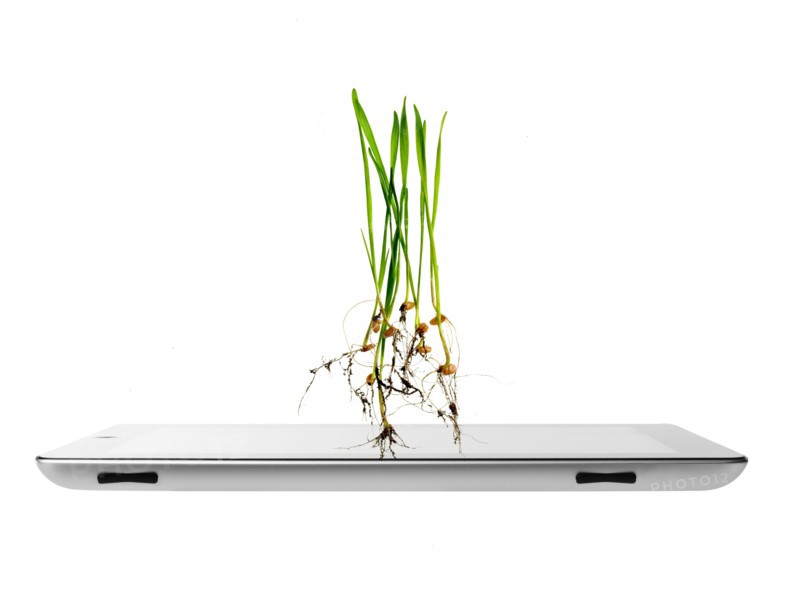 Studio shot of plants over digital tablet. Photo: David Arky