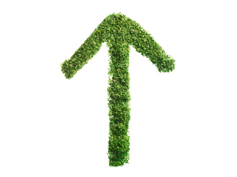 Studio shot of Parsley Flakes making Arrow sign on white background. Photo: David Arky