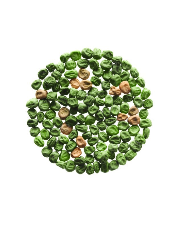 Studio shot of Pea Seeds and Bean Seeds on white background. Photo : David Arky