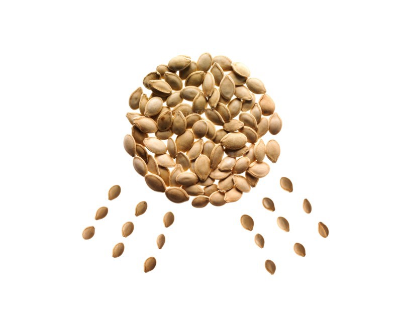 Studio shot of Pumpkin Seed in sun shape on white background. Photo : David Arky