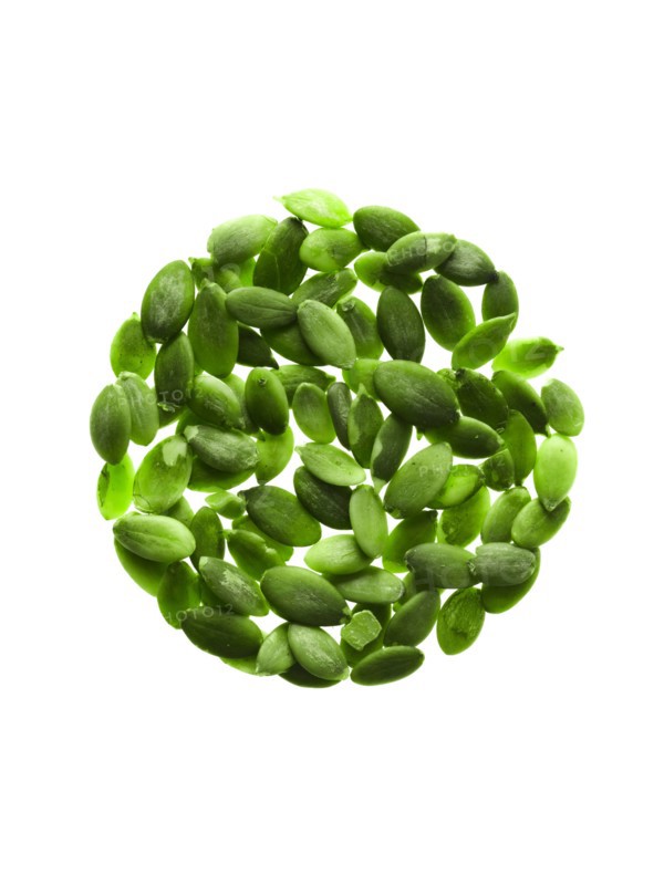 Studio shot of Pumpkin Seed on white background. Photo : David Arky
