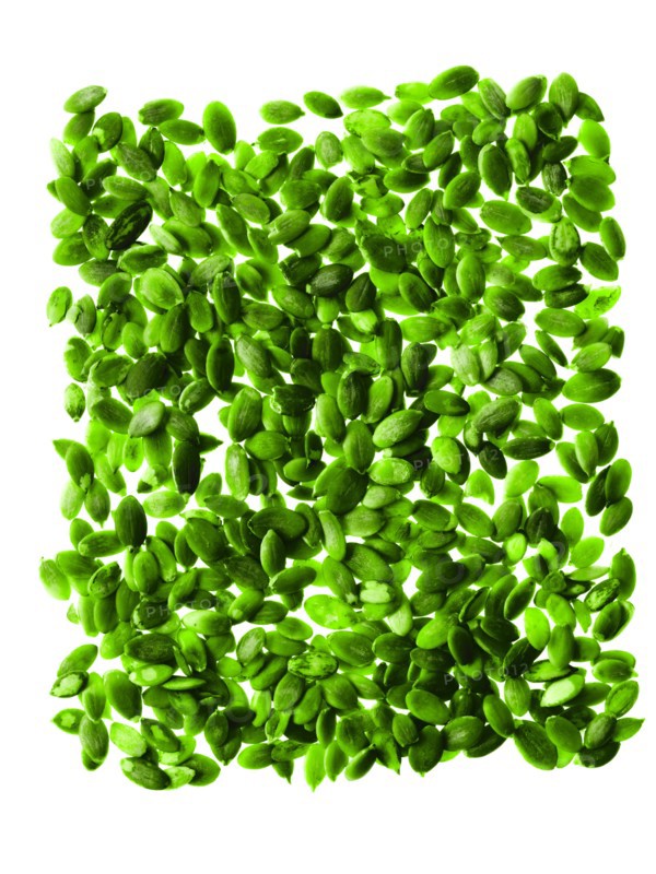 Studio shot of Pumpkin Seed on white background. Photo : David Arky