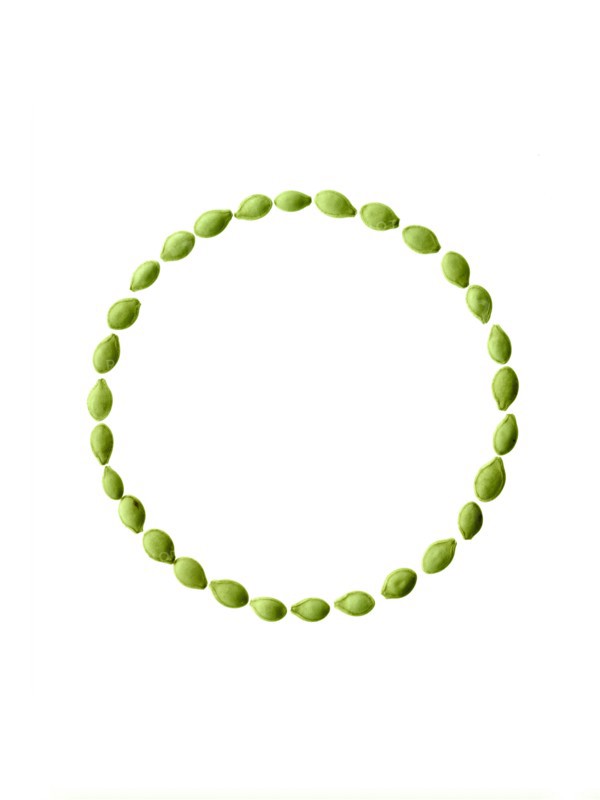Studio shot of Pumpkin Seeds on white background. Photo: David Arky