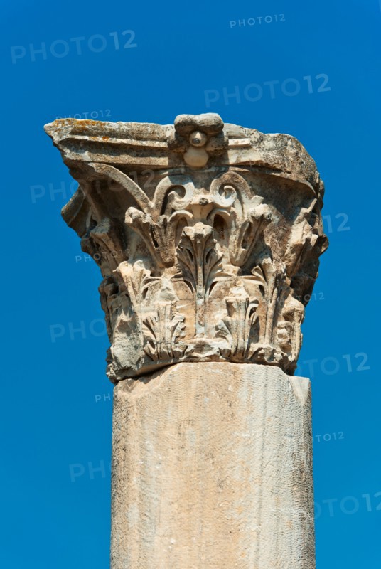 Turkey, Ephesus, Corinthian column.