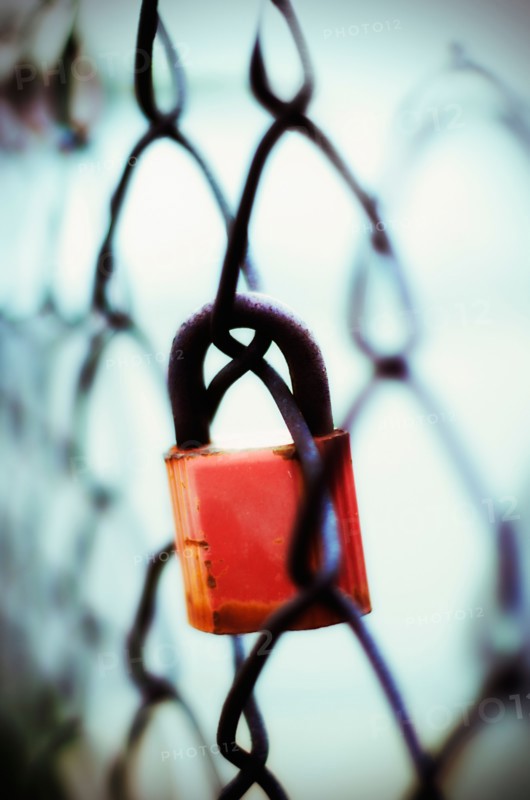 Padlock on chainlink fence.