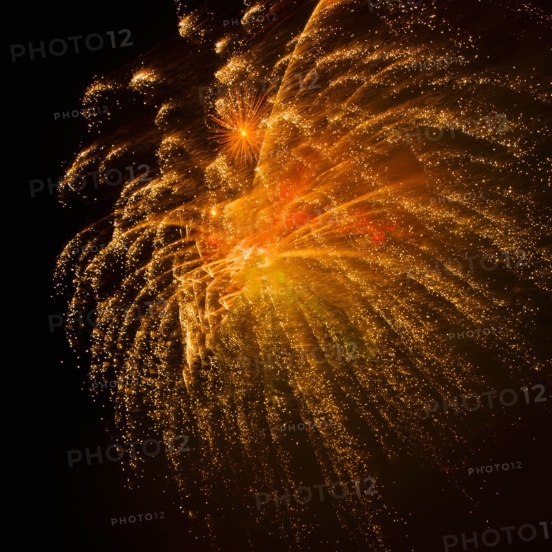 Fireworks explosion against night sky.