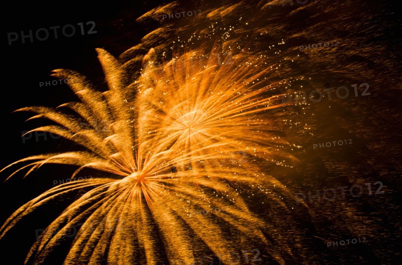 Fireworks explosion against night sky.