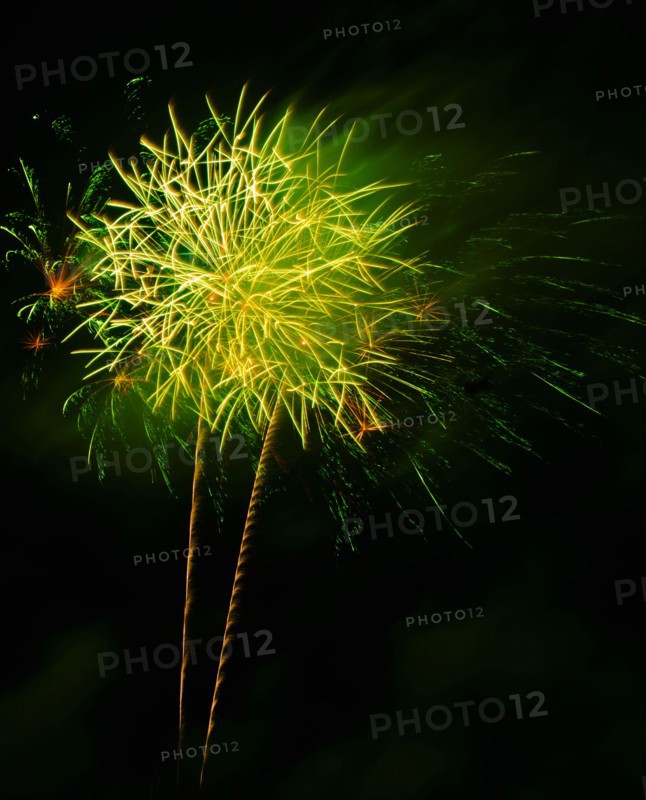 Fireworks explosion against night sky.