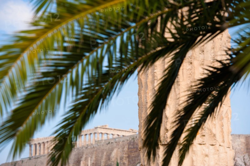 Greece, Athens, Palm fronds near Temple of Olympian Zeus.
