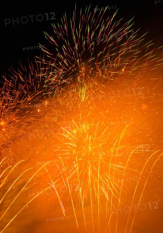 Fireworks explosion against night sky.