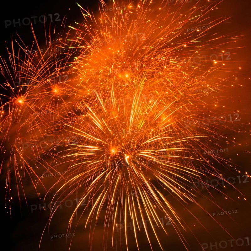 Fireworks explosion against night sky.