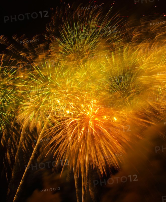 Fireworks explosion against night sky.