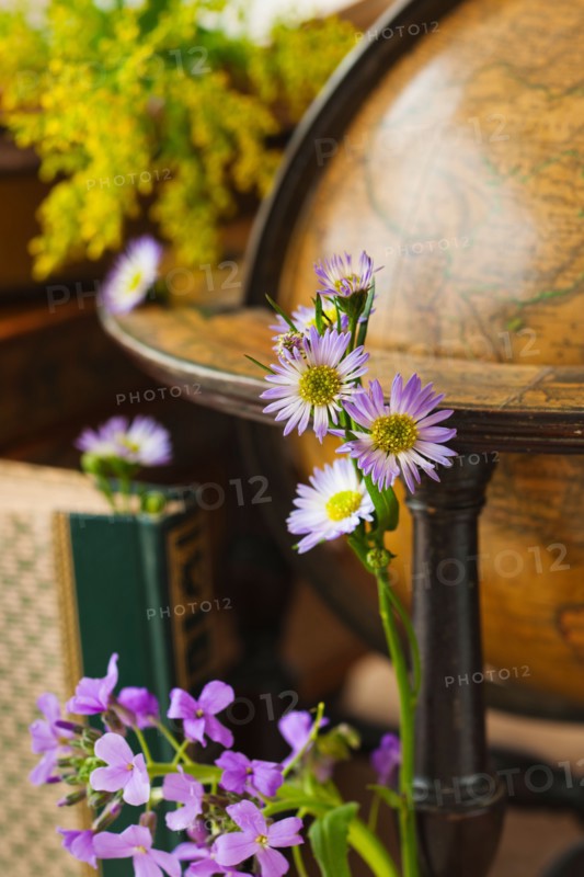 Flowers with antique globe and books.