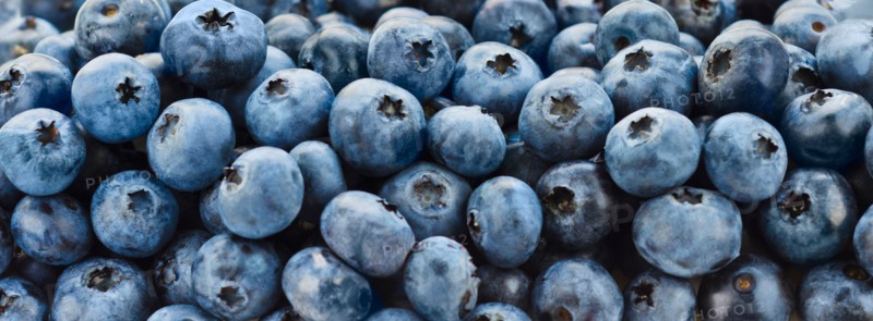 Blueberries.