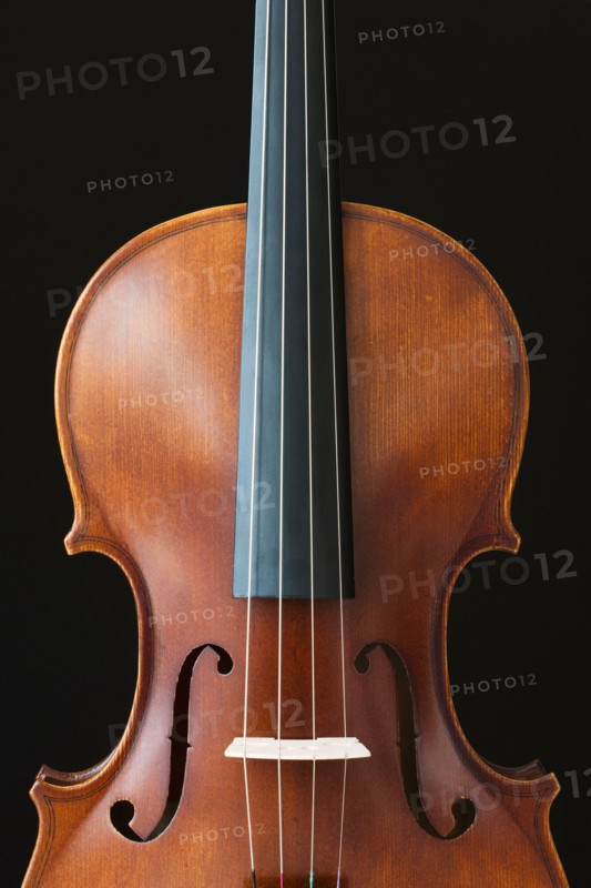 Violin strings.