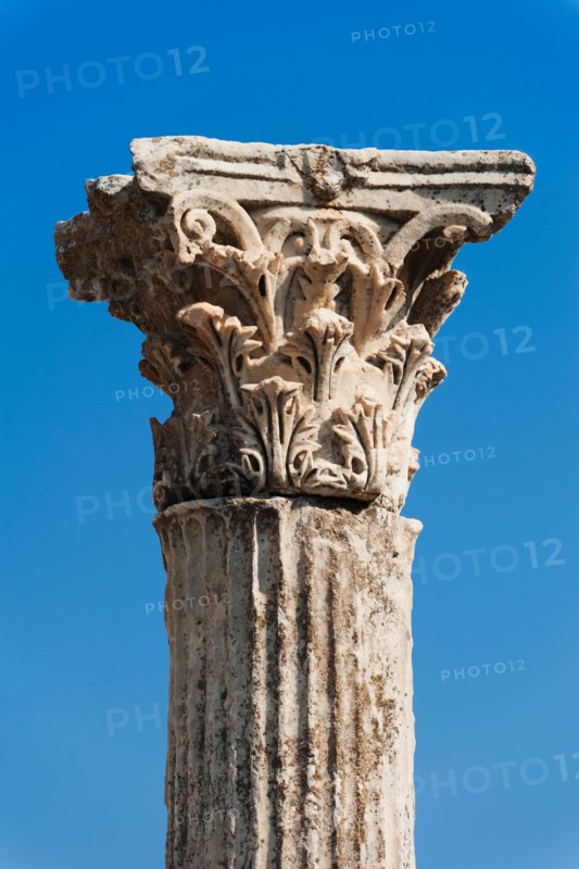 Turkey, Ephesus, Corinthian column.