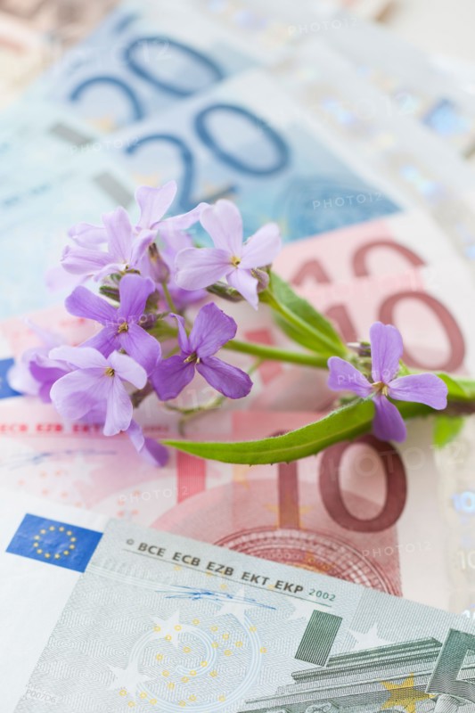 Flowers on European union banknotes.