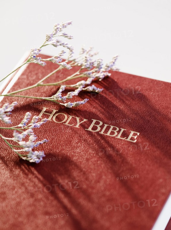 Bible and stem of lavender. Photo : Jamie Grill