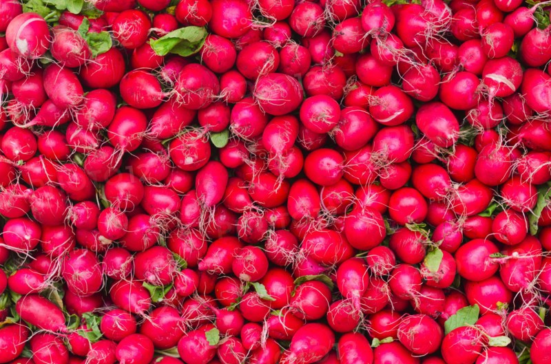 Radishes for sale.