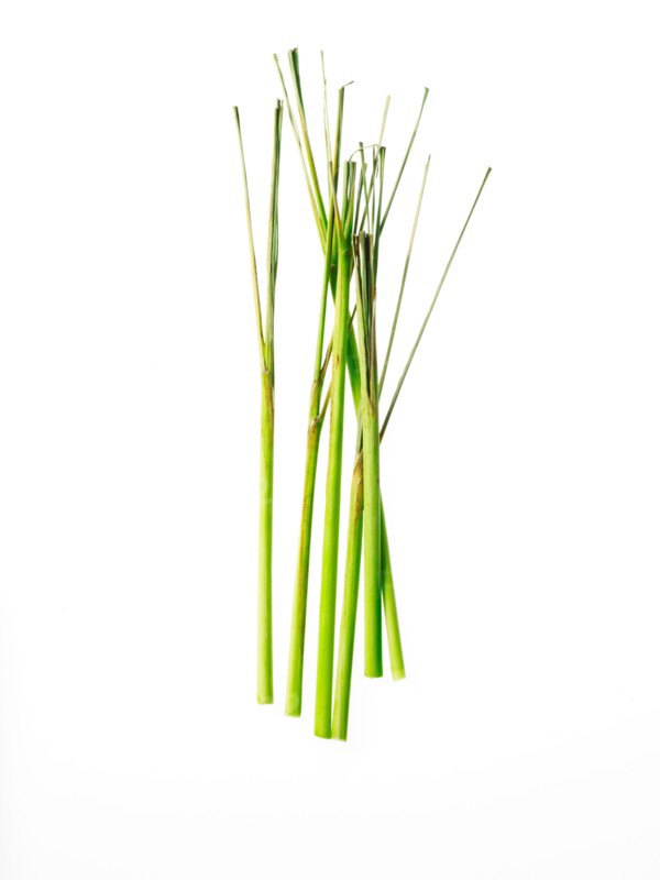 Studio shot of lemon grass. Photo : David Arky