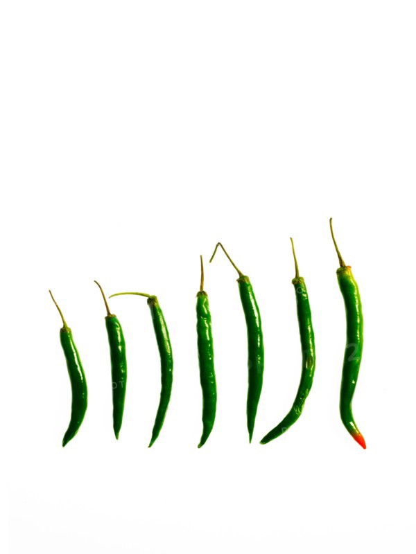 Studio shot of Green Chili Peppers on white background. Photo : David Arky