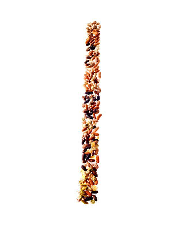 Studio shot of Mixed Seeds on white background. Photo: David Arky