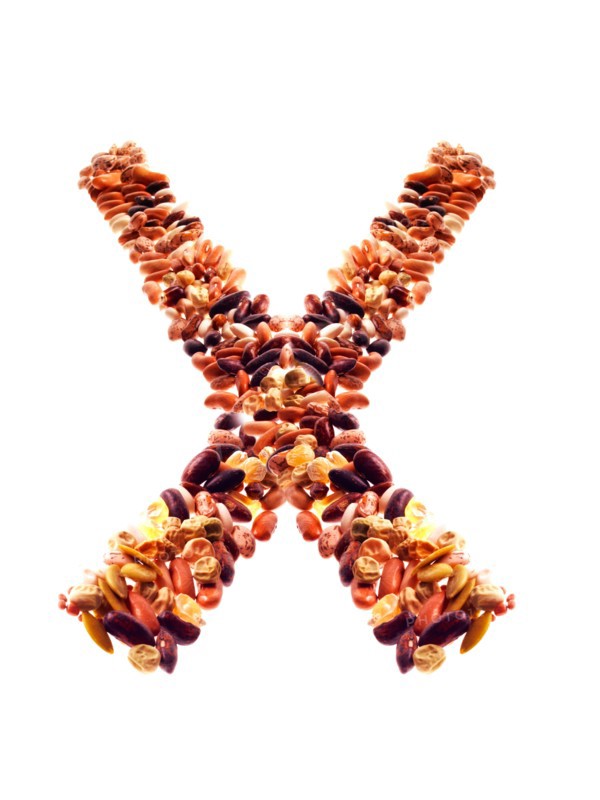 Studio shot of Mixed Seeds on white background. Photo : David Arky