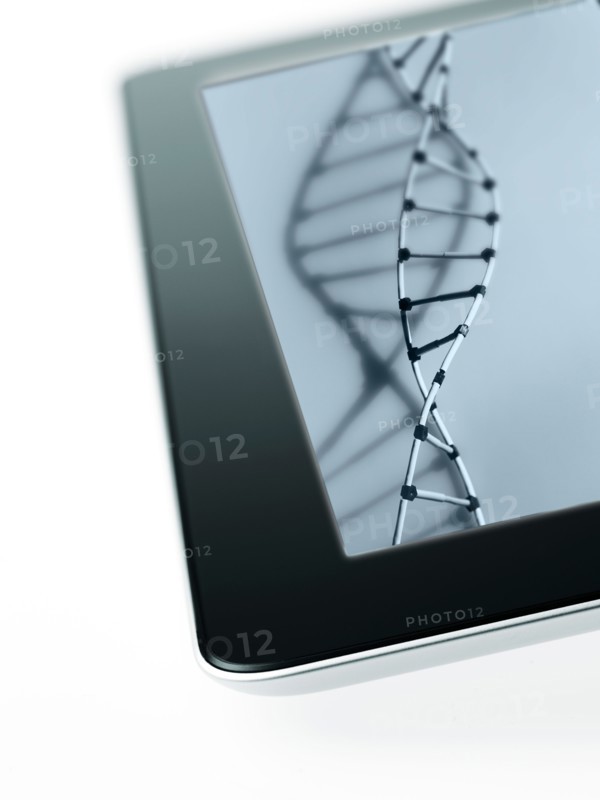 Studio shot of DNA model on digital tablet. Photo : David Arky