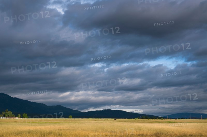 USA, California, Lassen County, Dramatic sky over pasture. Photo : Gary J Weathers