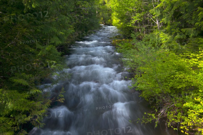 USA, Oregon, Linn County, View of Marion Creek. Photo : Gary J Weathers