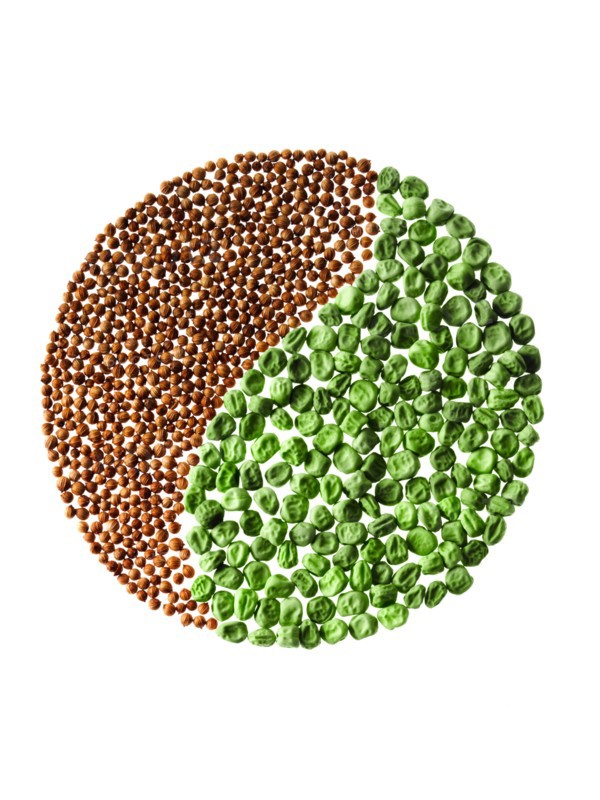 Studio shot of Cardamom Seeds and Pea Seeds making Yin Yang on white background. Photo: David Arky