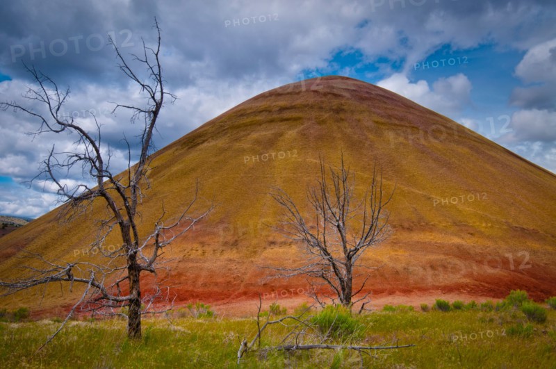 USA, Oregon, Mitchell, Scenic view of hill. Photo: Gary J Weathers