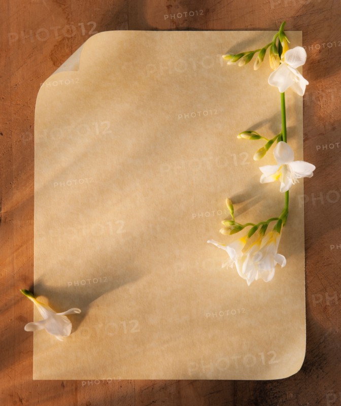 Close up of plank page of antique love letter with flowers. Photo : Daniel Grill