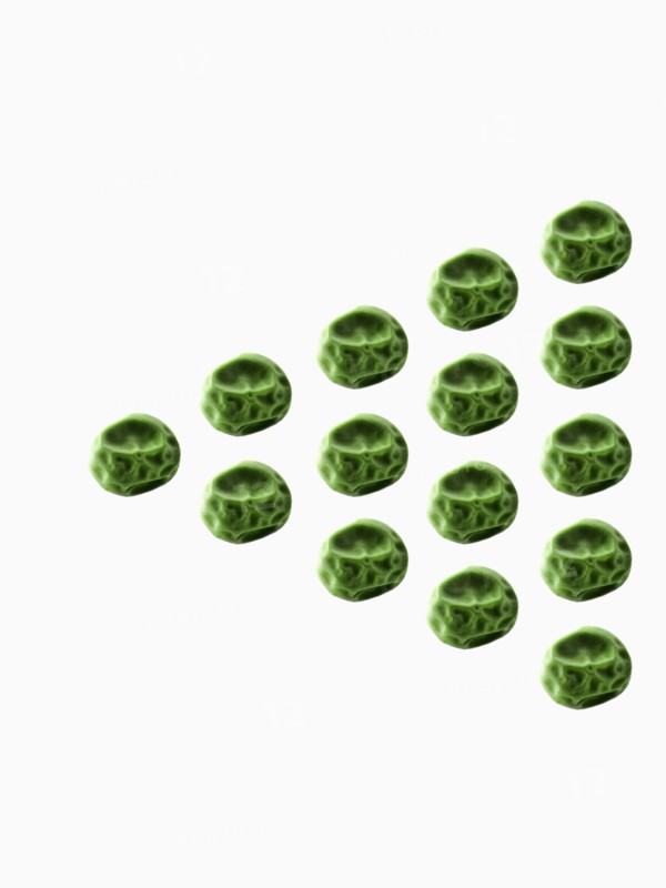 Studio shot of Pea Seeds on white background. Photo : David Arky