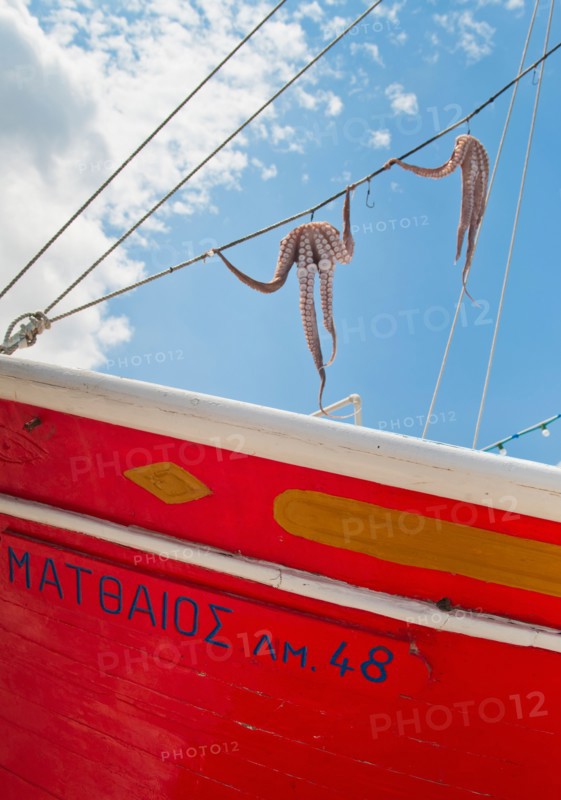 Greece, Cyclades Islands, Mykonos, Sun drying octopus on fishing boat.