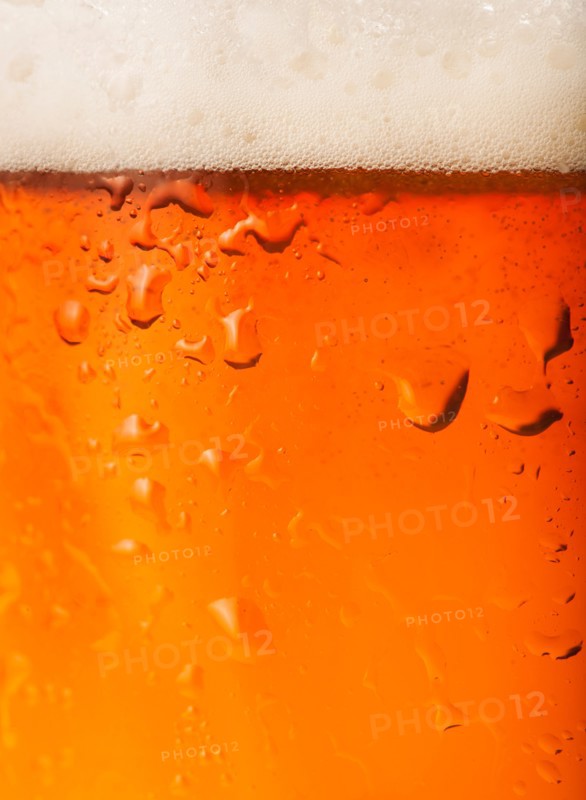 Close-up of lager in glass.