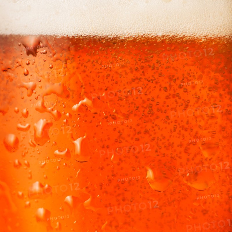 Close-up of lager in glass.