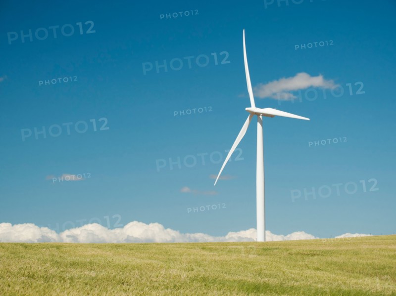USA, Oregon, Wasco, Wheat field and wind farm in bright sunshine under blue sky. Photo: Erik Isakson
