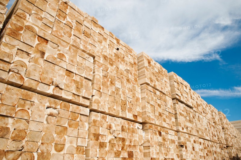 Orderly stack of timber. Photo: Erik Isakson